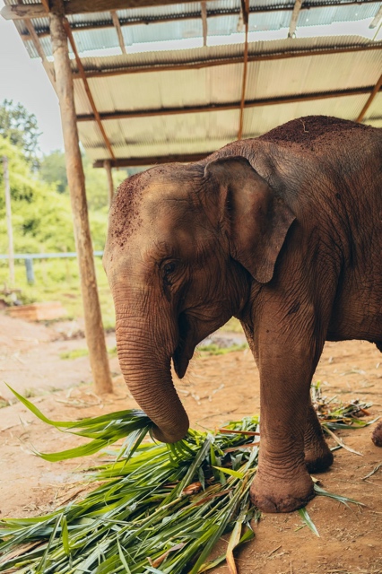 Thailand photograph