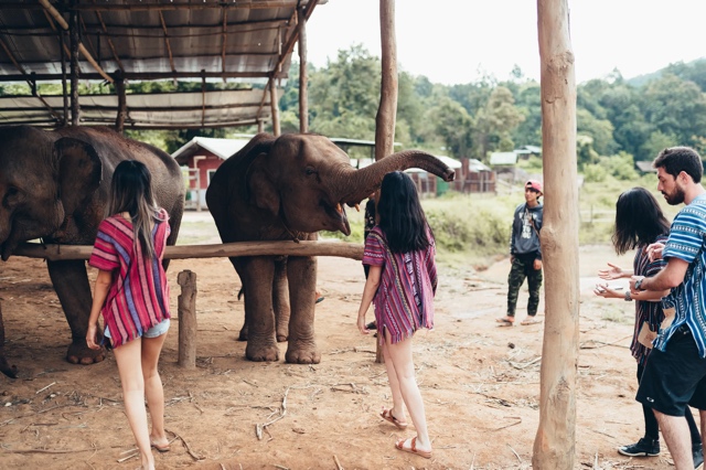 Thailand photograph