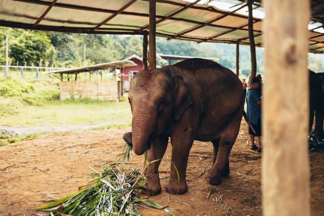 Thailand photograph