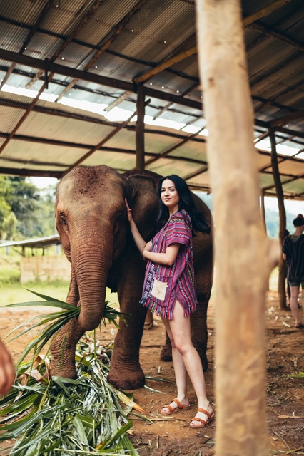 Thailand photograph