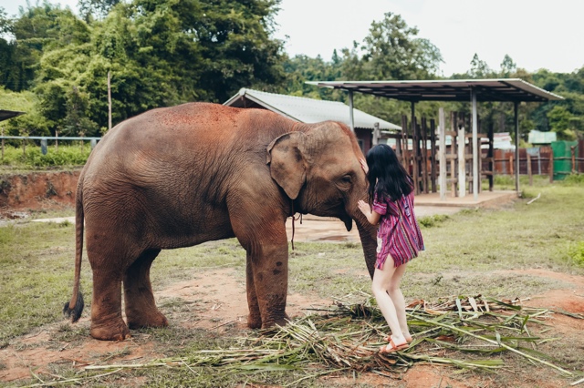 Thailand photograph