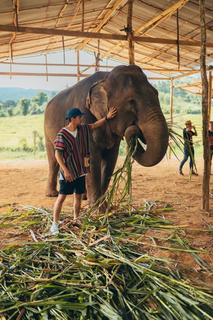 Thailand photograph
