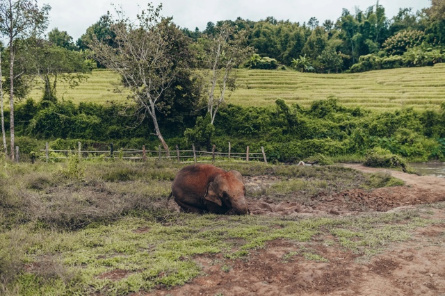 Thailand photograph