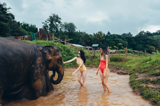 Thailand photograph