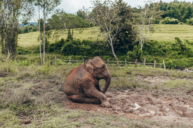 Thailand photograph