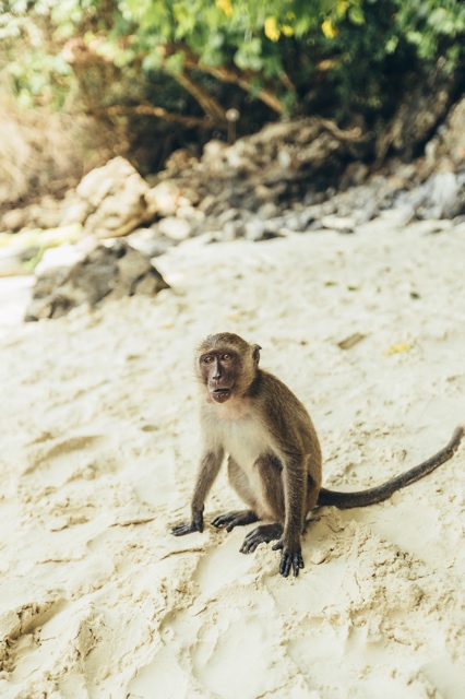 Thailand photograph