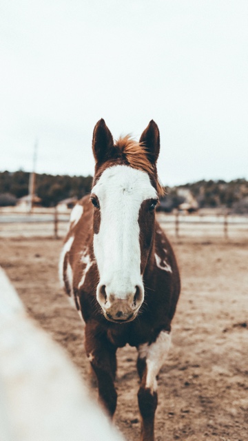 Utah photograph