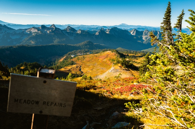 Washington photograph