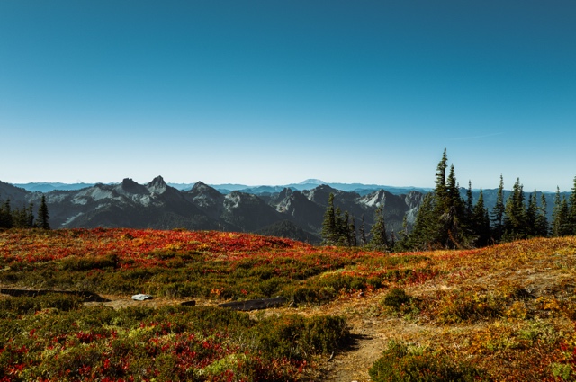 Washington photograph
