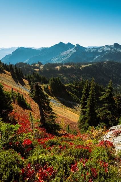 Washington photograph