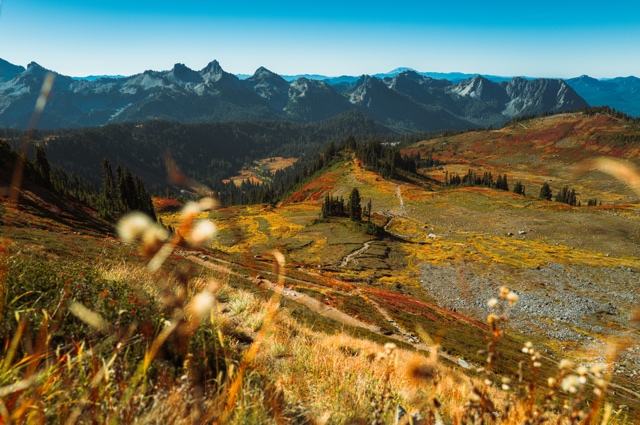 Washington photograph