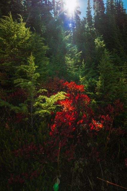 Washington photograph