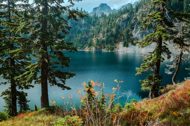 Washington photograph