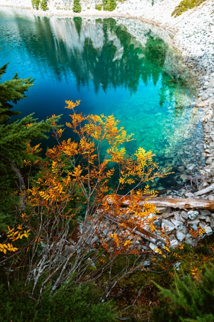 Washington photograph