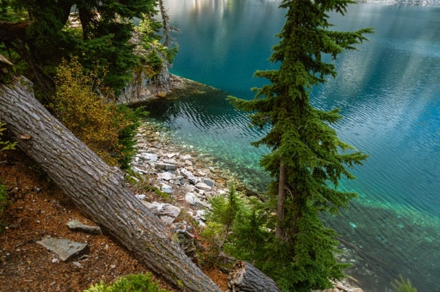 Washington photograph
