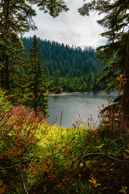 Washington photograph