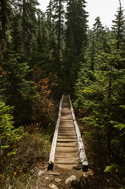 Washington photograph