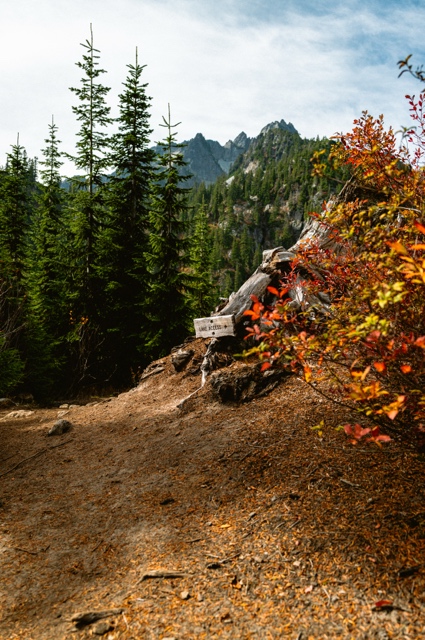 Washington photograph