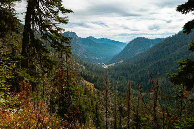 Washington photograph