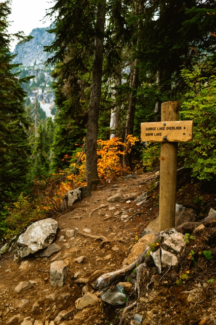 Washington photograph