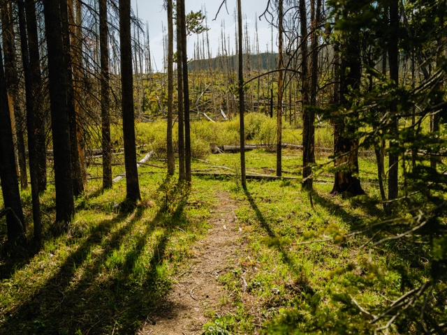 Wyoming photograph