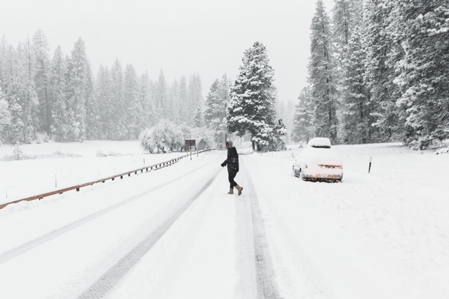 Yosemite photograph