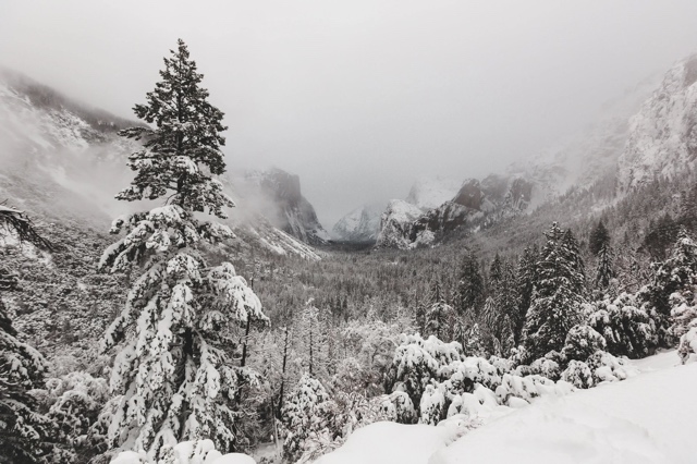 Yosemite photograph