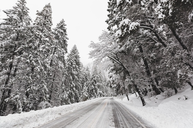 Yosemite photograph