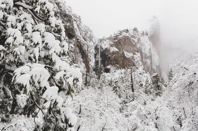 Yosemite photograph