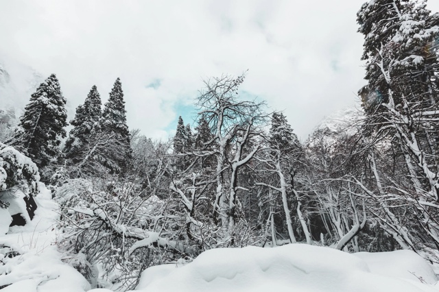 Yosemite photograph