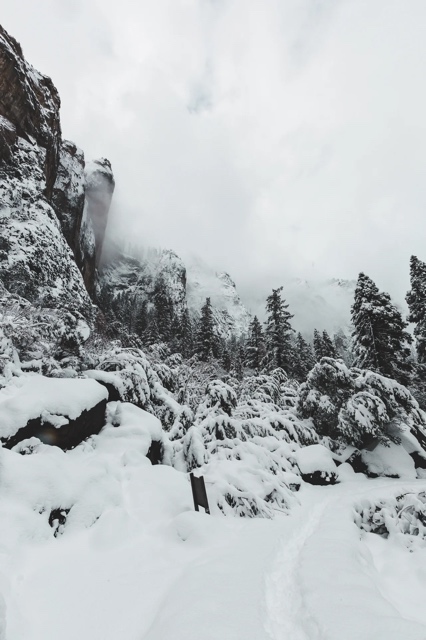 Yosemite photograph
