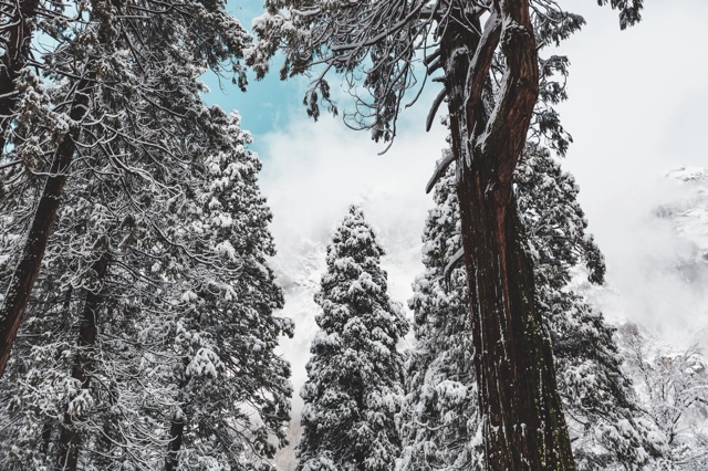 Yosemite photograph