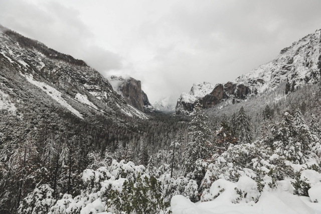 Yosemite photograph