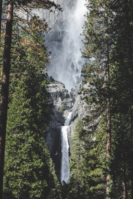 Yosemite photograph